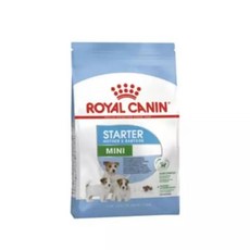 로얄캐닌 독 미니 스타터 마더 앤 베이비 1kg강아지사료 반려동물 반려견 임신수유견 애견 애완, 1개
