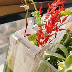 고마음추천샵 걸이식 수경재배통