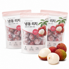 열대과일 냉동 리치 청량 달달 디저트, 기본, 3개, 1kg