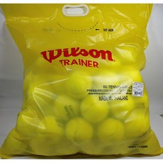 WILSON 英喬伊體育 無壓練習球 360入一大箱, 1個
