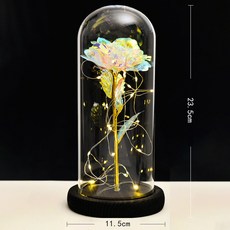 永生花玻璃罩金箔玫瑰花情人節生日禮物禮品擺件小夜燈, 1個, 可愛情侶永生花玻璃罩:可愛情侶永生花玻璃罩