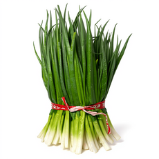 깐쪽파 실파 깐파 대파모종 500g 1kg, 1개