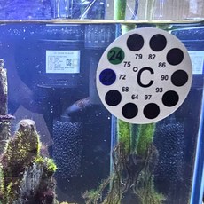 물온도스티커 붙이는온도계 온도스티커 수조 온도감지스티커