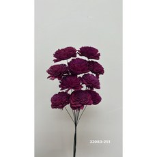 花藝夢 日本大地農園索拉玫瑰(大)十支裝，乾燥花原裝束，天然花材，居家裝飾花藝設計首選, 251, 1個