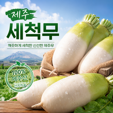 무 국내산 제주무 김장 무우 월동무 제주 세척무, 1개, 제주 월동무 10kg