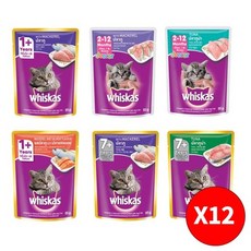 고양이 습식 파우치 80gX12개 세트, 80g, 주니어 고등어