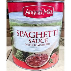 헌트 엔젤라미아 스파게티소스 2.9K/스파게티소스/스파케티양념/액상소스/통조림/소스통조림/통조림소스/토, 2.9kg, 1개