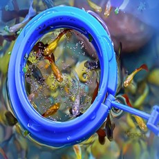 KIGOON 관상용 물고기 피딩틀 열대어밥그릇, 1개