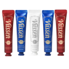 오스템 뷰센 휴대용 여행용 치약 기능성 치약 5개세트(H S C), 1개, 40ml