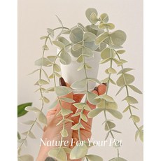 화분 넝쿨 나뭇잎 3잎 & 5잎 조화 잎사귀 도마뱀 파충류 크레 인조나뭇잎, 1개, 화분 1줄기(블랙)