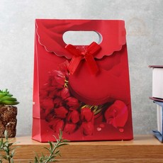 우동할매 로즈 리본 기프트백 포장용품