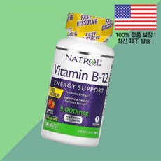 Natrol 비타민B 비타민비 비타민B군 12 패스트 디졸브 딸기 스트로베리 5000mcg 100정 Vitamin B Fast Dissolve Strawberry 100 Tab
