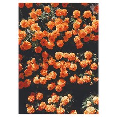 인테리어소품 미드센추리 패브릭포스터 대형 인테리어, 오렌지필름