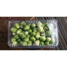 제주 건우농장 방울양배추1kg, 1kg, 1세트