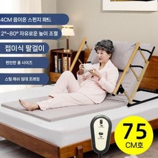 전동 등받이 리프트 쿠션 각도조절 침대 등쿠션 노인 환자용 기상 보조 베개, C. 75 와이드 풀+가드레일