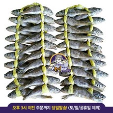 놀부장수 영광 법성포 굴비 40마리, 1.1kg이상(20마리), 2개
