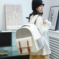 솔트 강아지 가방 애견 백팩 고양이 이동가방 기내용 캐리어, #03 화이트, 1개