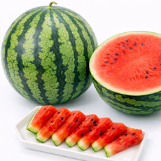 당도선별 고당도 하우스 꿀 수박, 5-6kg, 1개