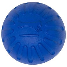 환상적인 폼 대형 공 다양한 색상 115798