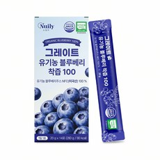 블루베리 착즙 20g 14포 담아보리 미국산 착즙음료, 14개
