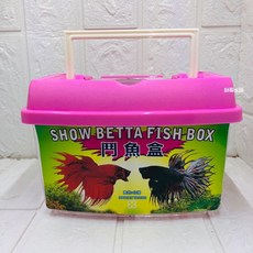 【帥哥水族】台灣製手提式鬥魚箱 雙隔間鬥魚盒 鬥魚缸 飼養缸 隔離盒 寵物箱 昆蟲箱 甲蟲盒 烏龜 角蛙 獨角仙, 1個