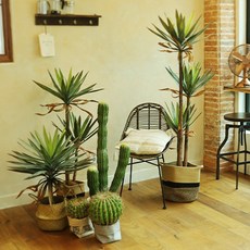 선인장 인테리어조화 인조나무 대형 조화나무 식물 조경 유카 금호, 금호_소, 1개