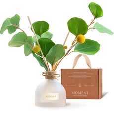모먼트 골든볼 프리미엄 디퓨저 실내 방향제 선물 세트 쇼핑백 160ml, 페어 프리지아 (감미로운 과일+꽃향), 1개