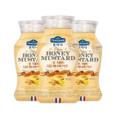 오늘출발 폰타나 디종 허니 머스타드, 190g, 3개