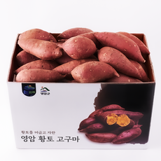 해뜨레 영암 호박고구마, 1박스, 3kg 대왕