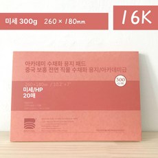 용지 전문가용 아티스트 바오홍 중목 종이 세트 300g 수채화, 학원 16k 고운 질감 18x26, 1개