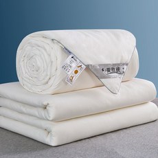 수출 정품 실크 이불 100% 누에고치 봄가을 이불 여름 쿨 이불 에어컨 이불 학생 이불 겨울 이불, A. 리버시블-화이트