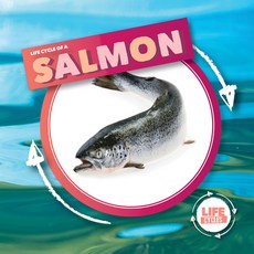 (영문도서) Life Cycle of Salmon Library Binding, Kidhaven Publishing, English, 9781534540163