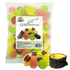 펫츠핸들러 장수풍뎅이&사슴벌레 곤충젤리+와이드 젤리접시 1구, 곤충젤리 버라이어티 16g*80개+젤리접시 1구