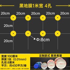 마늘 비닐 유공 멀칭 양파 구멍 뚫린 8구 고추 10구, 1개, 검정 1m 폭 410m 4열 20x20