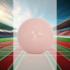 소프트 필라테스 토닝볼 2개세트 0.5kg 밸런스장비 소도구 헬스장 허리 홈트 체육관