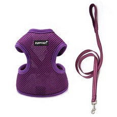 SB수빈스토어 간편착용 하네스 셋트 퍼플 M 애견하네스 가슴하네스 입는하네스