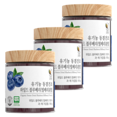 자연해답 유기농 동결건조 와일드 블루베리(빌베리) 분말 100%, 90g, 3개