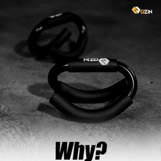 GZIN 지진 투인원 멀티 푸쉬업바