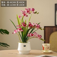 仿真盆栽 蝴蝶蘭 仿真花藝 裝飾擺件, 圓口碟瓶白新分叉蝴蝶蘭玫紅, 1個