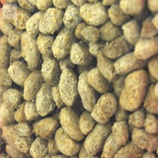 조은두리 청거북이 EP사료