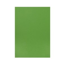 정재단가죽 21X30CM 모음, 그린빈, 08. 앱송