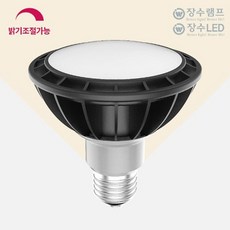 디밍 확산형 LED PAR30 장수램프 주광색 밝기조절 33376pc 1(EA), 색상, 1개