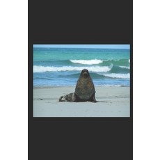 (영문도서)Orphan Tales Paperback, Independently Published, English, 9798378051205