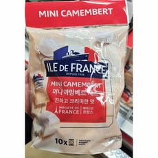 코스트코 일드 프랑스 미니 까망베르 치즈, 10개, 25g