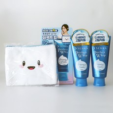 센카 퍼펙트 휩 클렌징 폼 리뉴얼, 120g, 2개