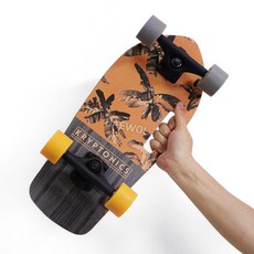 숏보드 24인치 가방 포함 크루져보드 스케이트 입문용, A. - 루총 스케이트보드 백, 1개