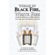 (영문도서)Torah in Black Fire White Fire: Weekly Torah Portions in Light of PaRDeS Paperback, Independently Published, English, 9798271185038