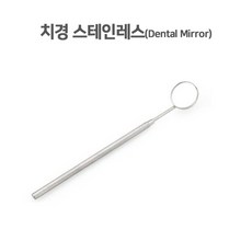 바다르산스 의료용 고급스텐 치경, 1개