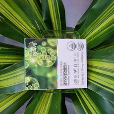 봄코리아 에디케 클로리라당밸런스 클로레라 바나나잎 추출물, 60정, 6개