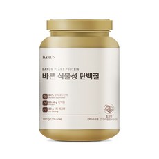 바른 식물성 단백질 프로틴 유당 콜레스테롤 제로, 300g, 1개 300g, 1개